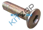 ���� � ������������ ����������� ��� ����  